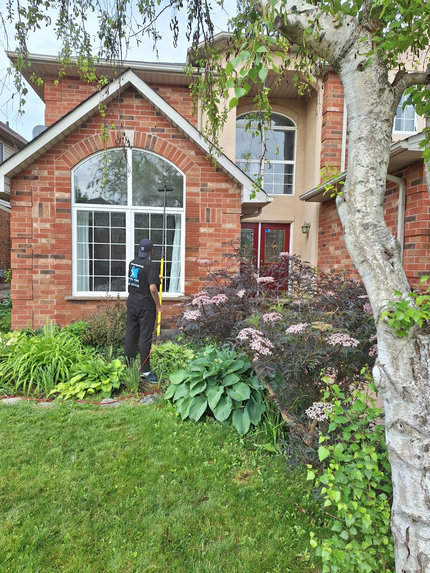 Crystal Works crew member carefully cleaning windows next to landscaped garden
