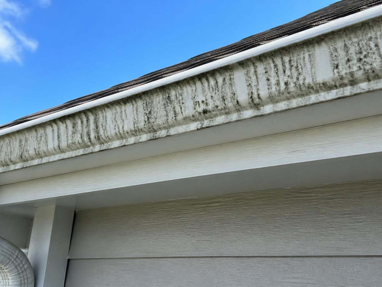 Exterior Gutter Cleaning — before